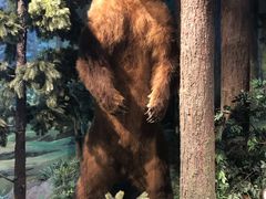 -陕西自然博物馆