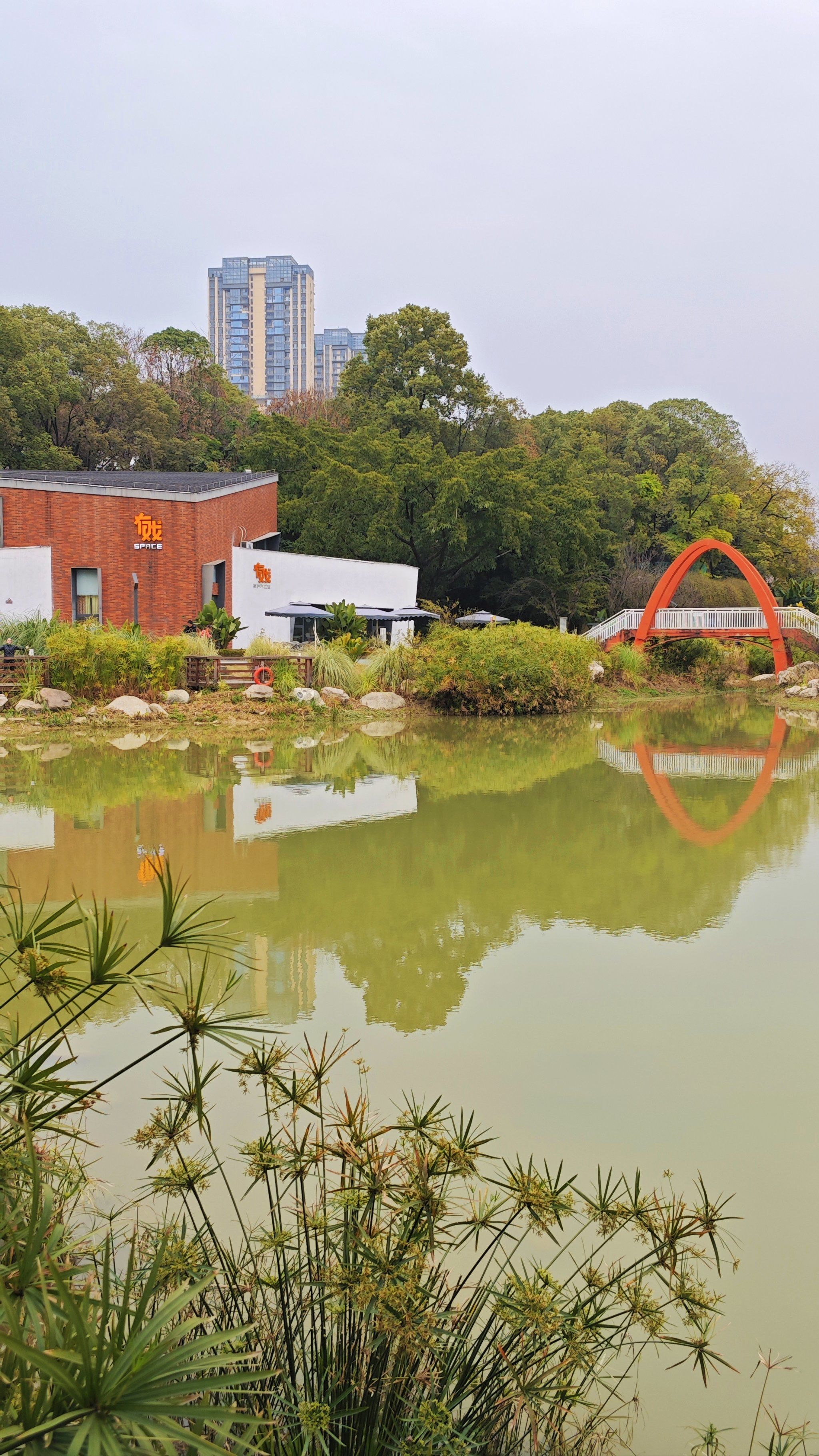 新华公园
99地点:成都市成华区新鸿路街道双林路87号
公园开放