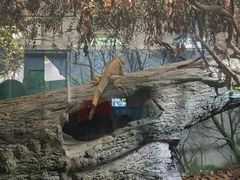 -成都动物园