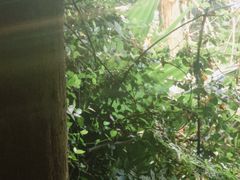 -时间仓(月湖公园店)