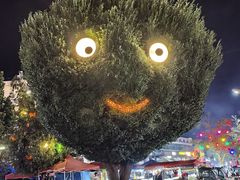-特克斯八卦城