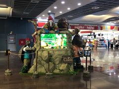 -西沃古尔·拉姆古兰爵士国际机场