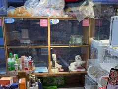 -FAELING PETS美天灵宠物(富力广场店)