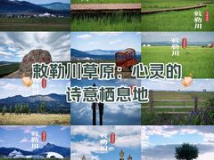 -敕勒川草原