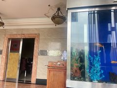 门面-绵阳森林雨鸭肠王火锅城(丽景花城店)