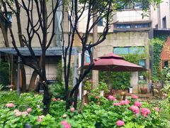 -谷咖啡·鲜花绿植花园餐厅
