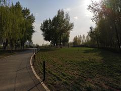 -长白岛森林公园