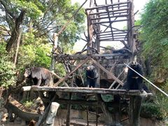 -长鹿旅游休博园