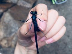 -碓臼峪自然风景区