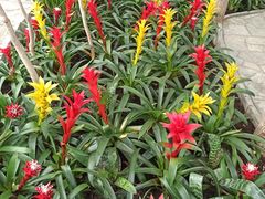 -北京植物园-展览温室