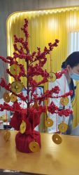 -杭州医巢医疗美容
