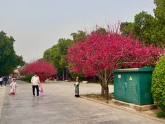 -北京市劳动人民文化宫(太庙)