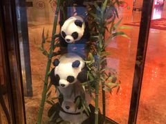 -成都保利公园皇冠假日酒店(熊猫基地店)