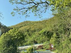 -四明山国家森林公园
