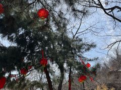 -天津盘山风景名胜区