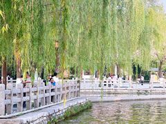 -济南大明湖景区