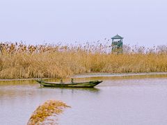 -盐城丹顶鹤湿地生态旅游区
