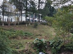 -重庆彩云湖湿地公园