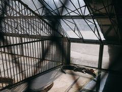 -秦皇岛野生动物园
