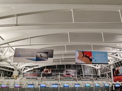 -约翰·菲茨杰拉德·肯尼迪国际机场