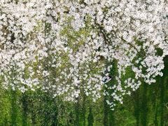-花溪公园