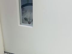 -瑞派康怡24h宠物医院·犬猫医疗中心·微创绝育(瑞景分院)