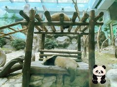-乐和乐都主题乐园