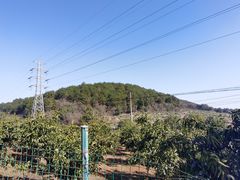-青龙山国家森林公园