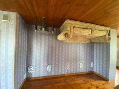 -金山农民画村-枫泾波兰倒置屋
