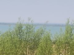 -红碱淖景区