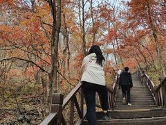 -天女山森林公园