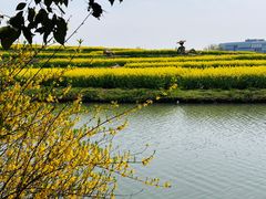 -乌村