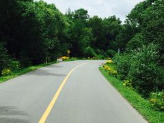 -峡谷浮石林景区