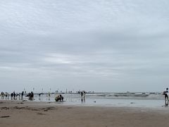 -日照海滨国家森林公园