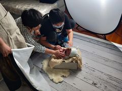 -爱月宝月嫂·育儿嫂(哈尔滨总店)