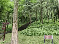 -青城山