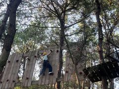 -芦仙山景区-飞越丛林探险乐园