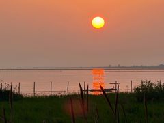 -洪湖湿地生态园