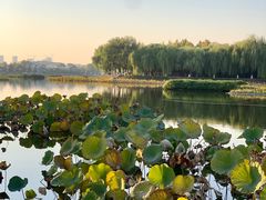 -素心小筑(后沙裕镇店)