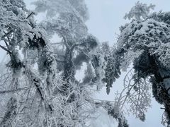 -峨眉山风景名胜区