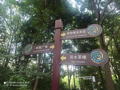 -成都市活水公园