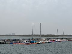 -贝林大翅鲸简餐厅(国家海洋博物馆店)