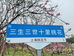 -南汇桃花村