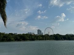 -南宁南湖公园
