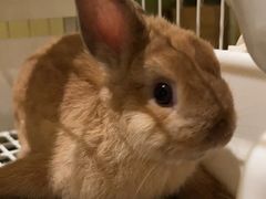 -雨林宠物医院 非犬猫异宠专科