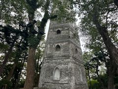-江心屿景区