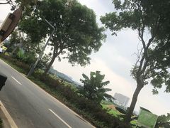 -光明小镇欢乐田园