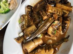 -鲁前海沿儿