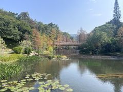 -云溪植物园
