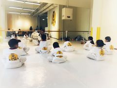 -勇气斑马·巴西柔术&跆拳道(浦东三林店)
